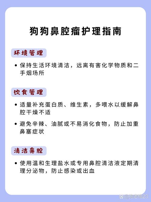 狗狗鼻腔瘤护理指南 环境、饮食与鼻腔清洁全解析